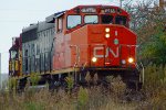 CN 9418